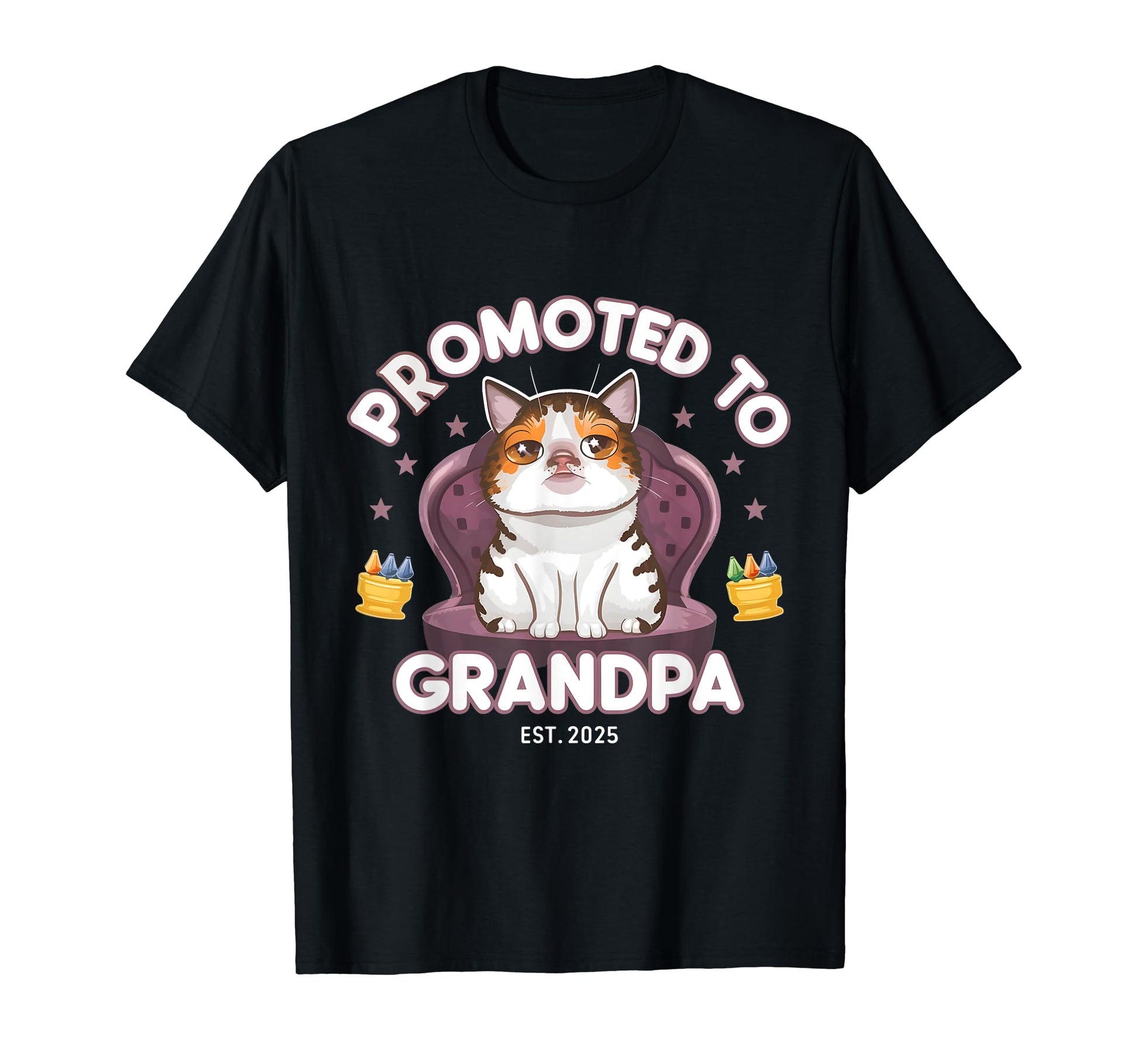 Mens Soon To Be Grandpa Promoted To T-Shirt - Minimalist Print for Adults - T-Shirt, Sweatshirt, Hoodie