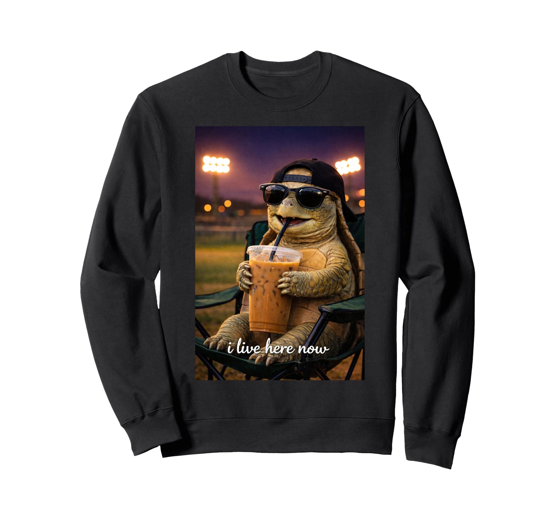 Funny Turtle Ballfield Baseball Field I Sweatshirt - Trendy Graphic Unisex - T-Shirt, Sweatshirt, Hoodie