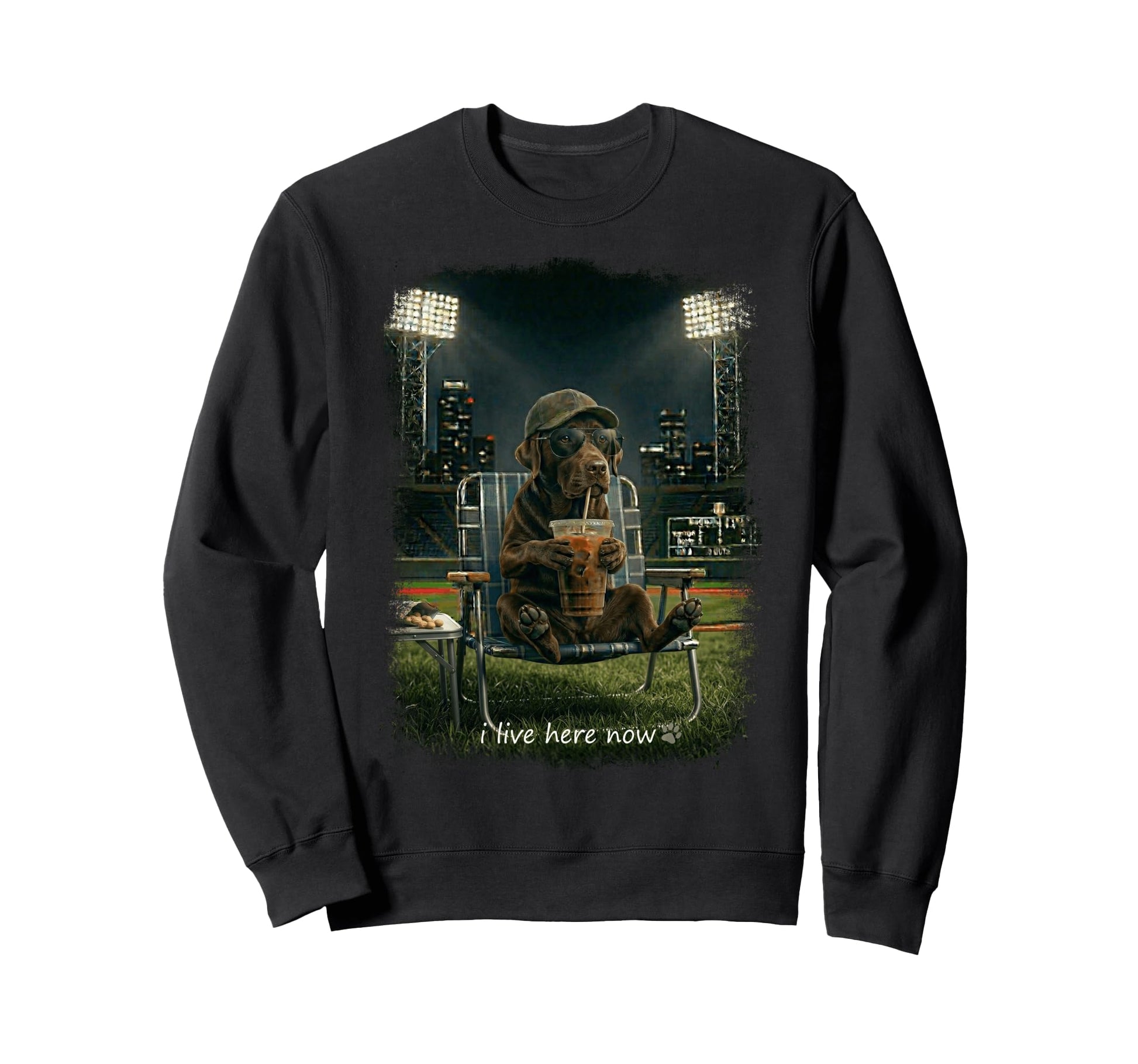 Labrador Retriever Ballfield Sweatshirt - Novelty Apparel for Adults - T-Shirt, Sweatshirt, Hoodie