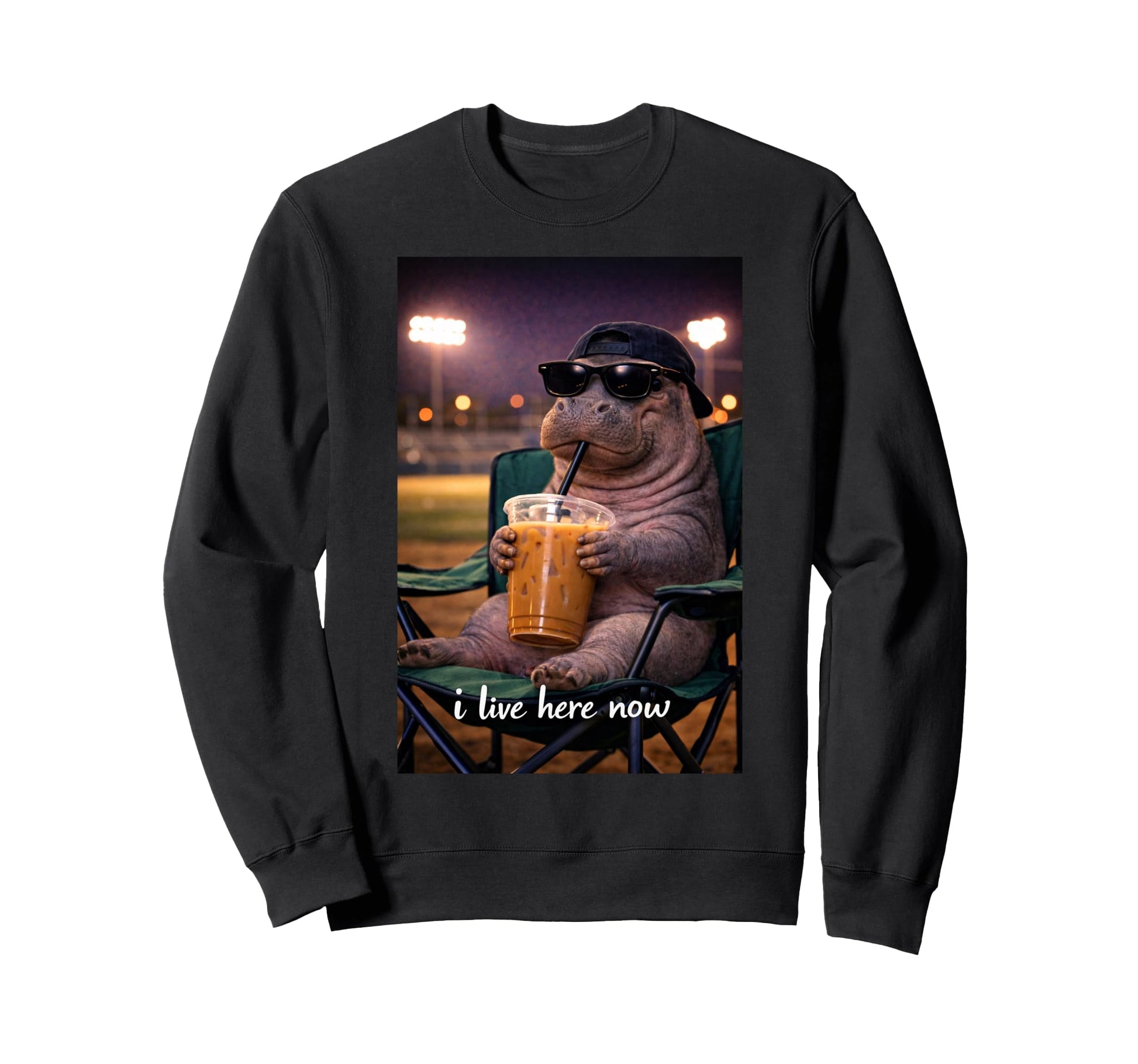 Funny Hippopotamus Ballfield Sweatshirt - Graphic Print for Adults - T-Shirt, Sweatshirt, Hoodie