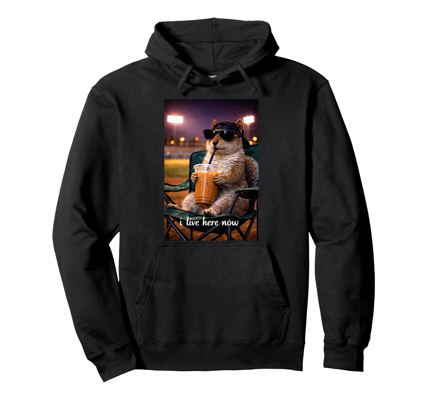 Funny Squirrel Ballfield Baseball Field I Hoodie - Trendy Graphic Unisex - T-Shirt, Sweatshirt, Hoodie