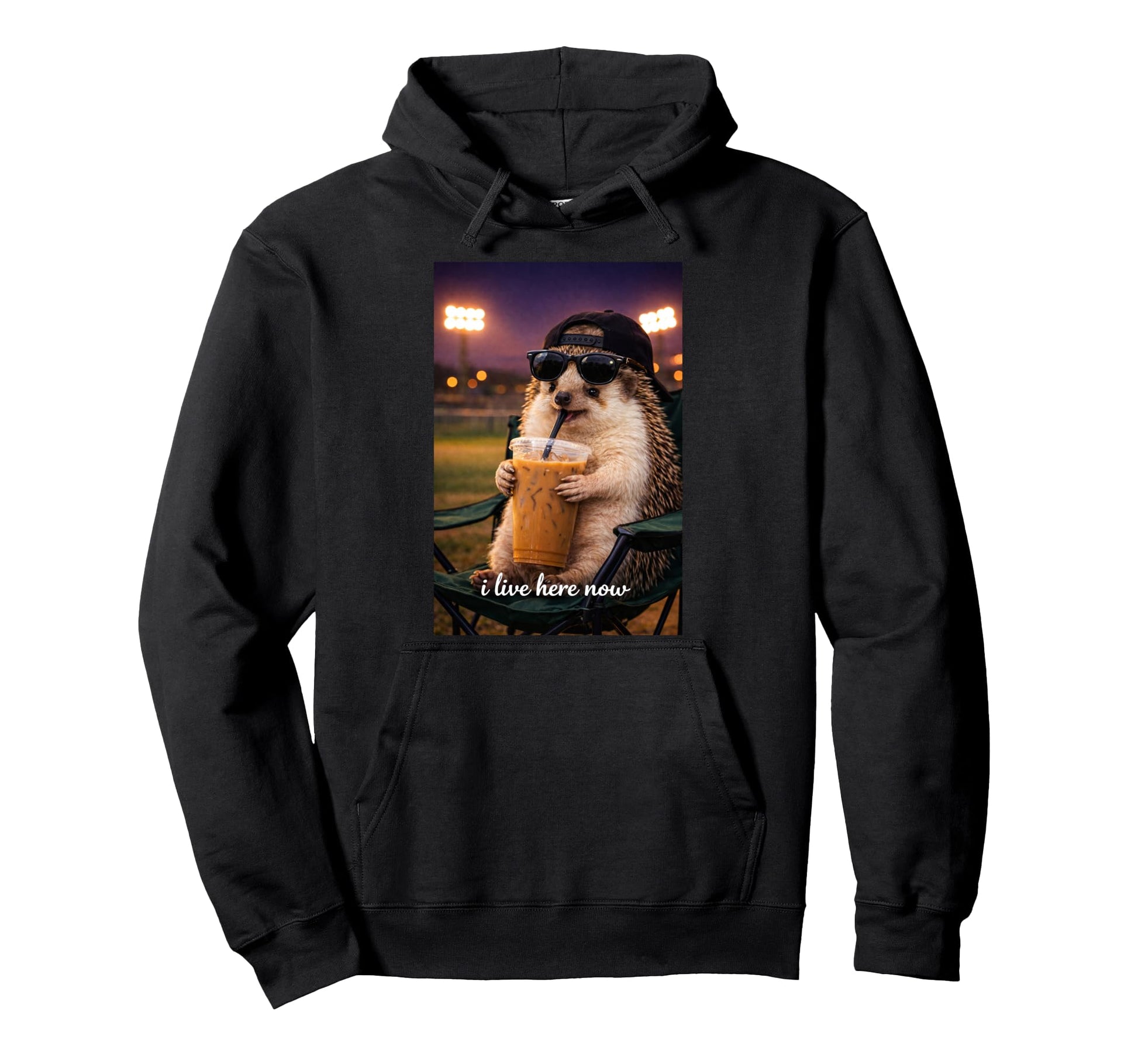 Funny Hedgehog Ballfield Baseball Field Hoodie - Aesthetic Graphic Unisex - T-Shirt, Sweatshirt, Hoodie