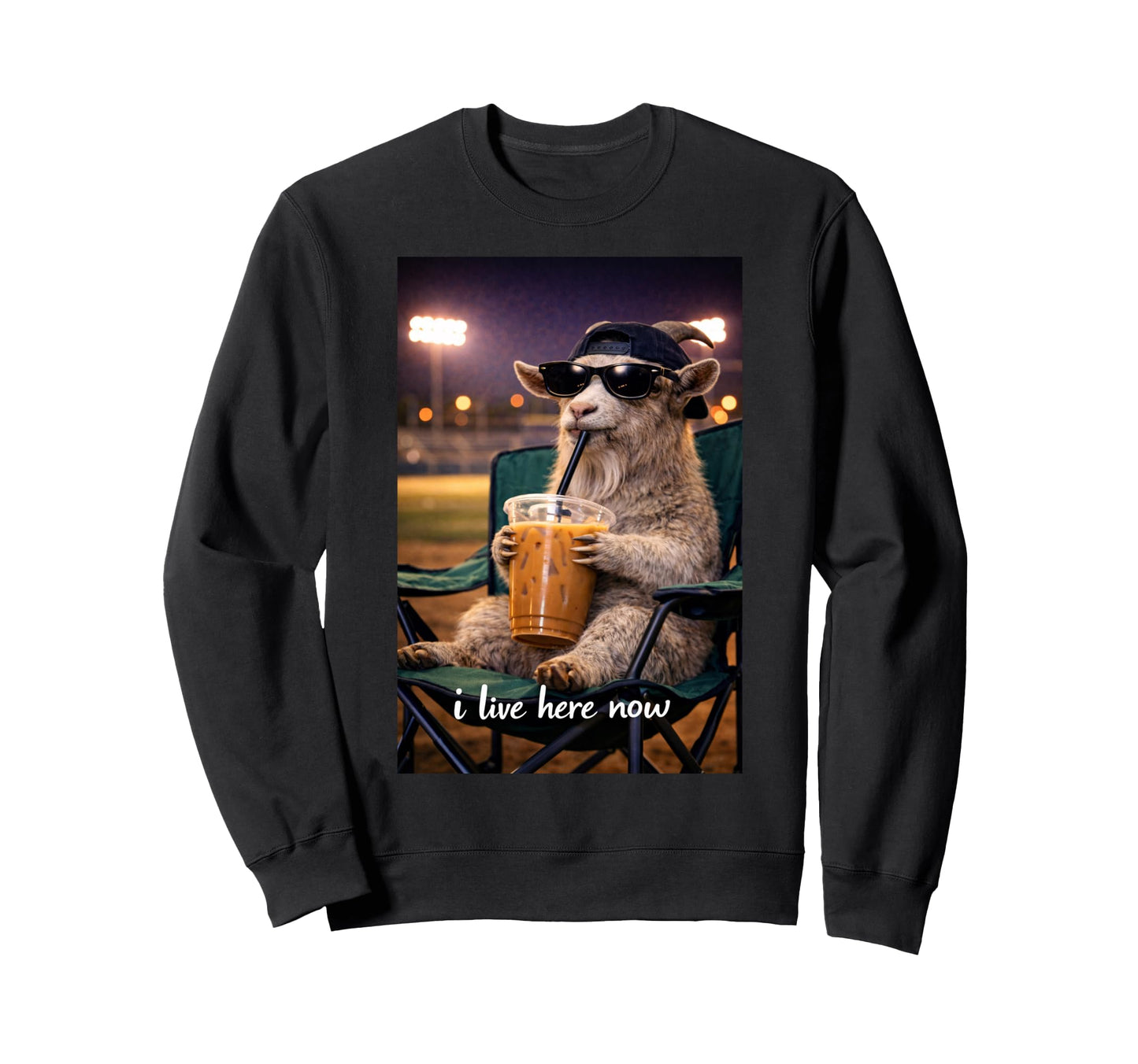 Funny Goat Ballfield Baseball Field Sweatshirt - Fun Novelty Design Unisex - T-Shirt, Sweatshirt, Hoodie