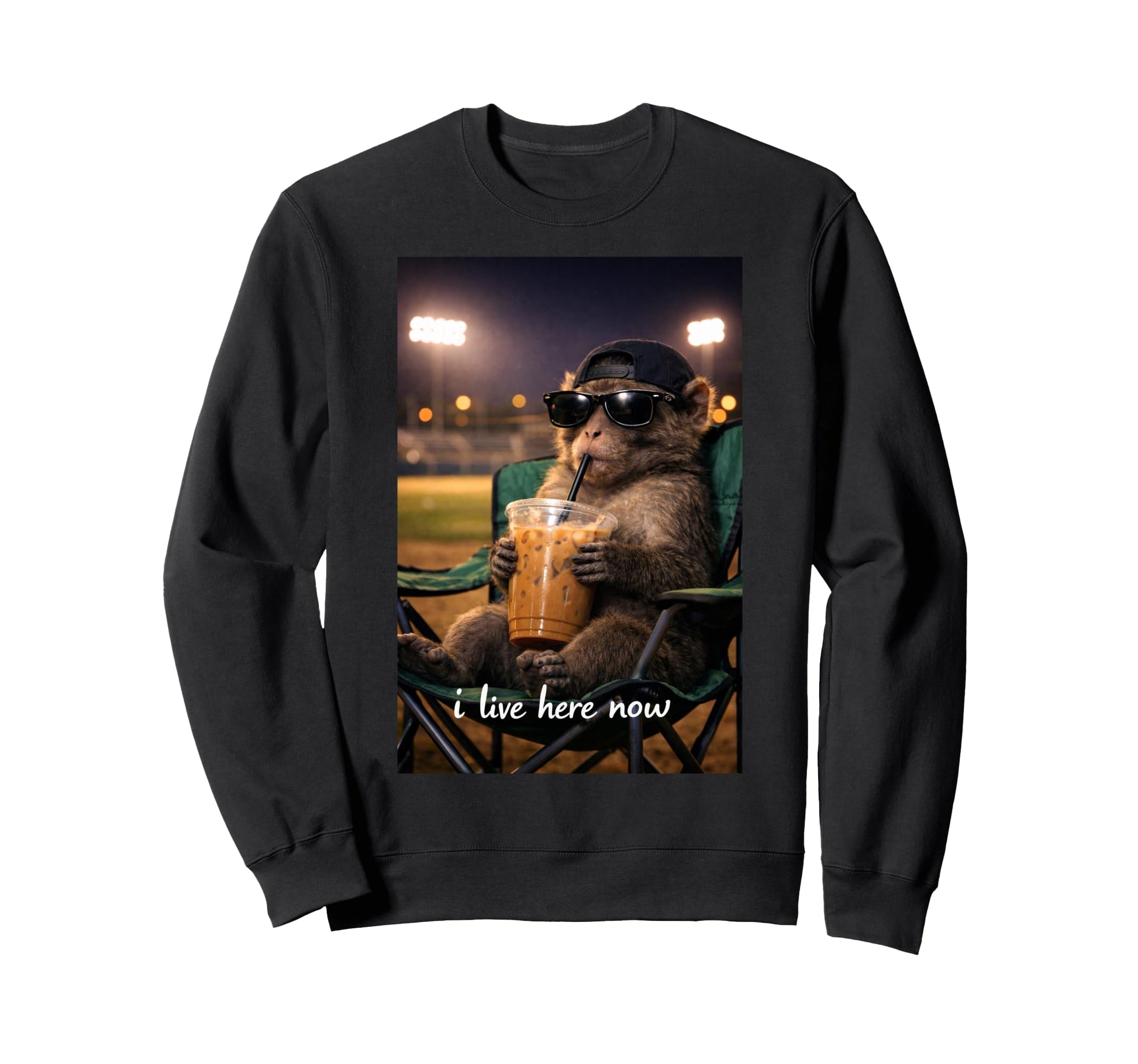 Funny Monkey Ballfield Baseball Field Sweatshirt - Custom Art Print Unisex - T-Shirt, Sweatshirt, Hoodie