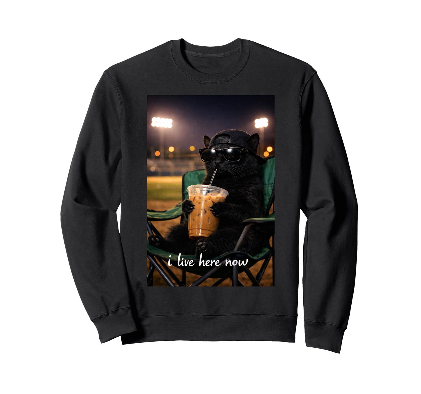 Funny Cat Black Ballfield Baseball Sweatshirt - Unique Graphic for Adults - T-Shirt, Sweatshirt, Hoodie