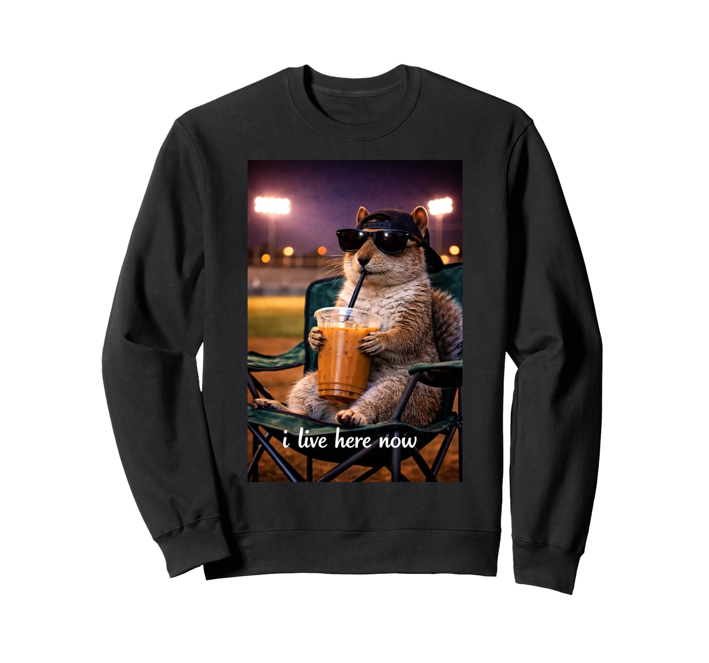 Funny Squirrel Ballfield Sweatshirt - Casual Everyday Wear Men Women - T-Shirt, Sweatshirt, Hoodie