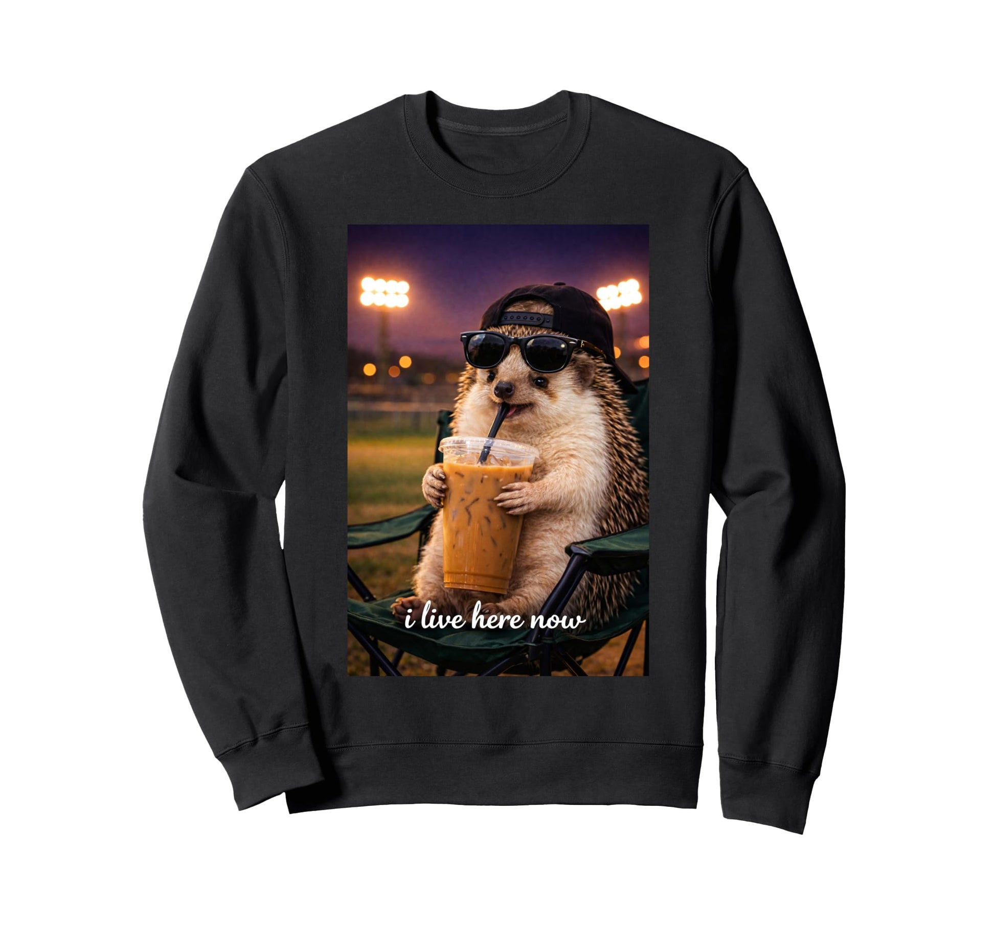 Funny Hedgehog Ballfield Baseball Sweatshirt - Minimalist Print Men Women - T-Shirt, Sweatshirt, Hoodie