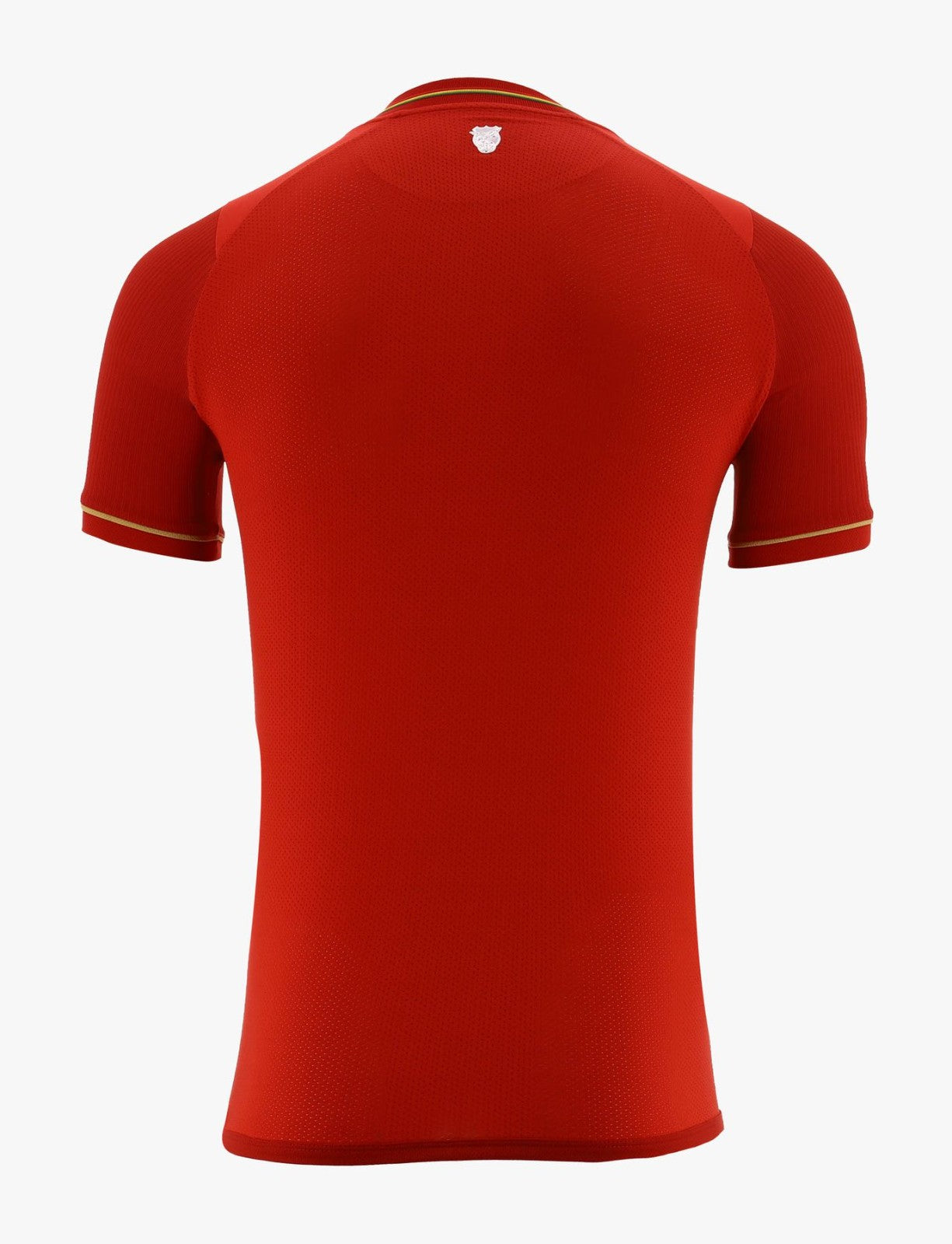 Bolivia's new 2024 away jersey football jersey product view 2