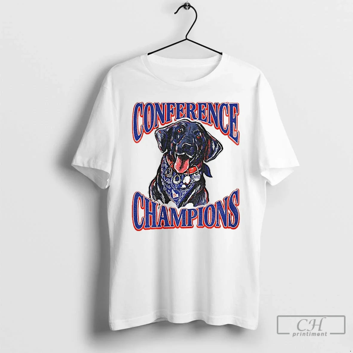 Classic Boise State Broncos Back Back Conference Champions Blitz T-Shirts, Hoodie, Sweatshirt - T-Shirt, Sweatshirt, Hoodie
