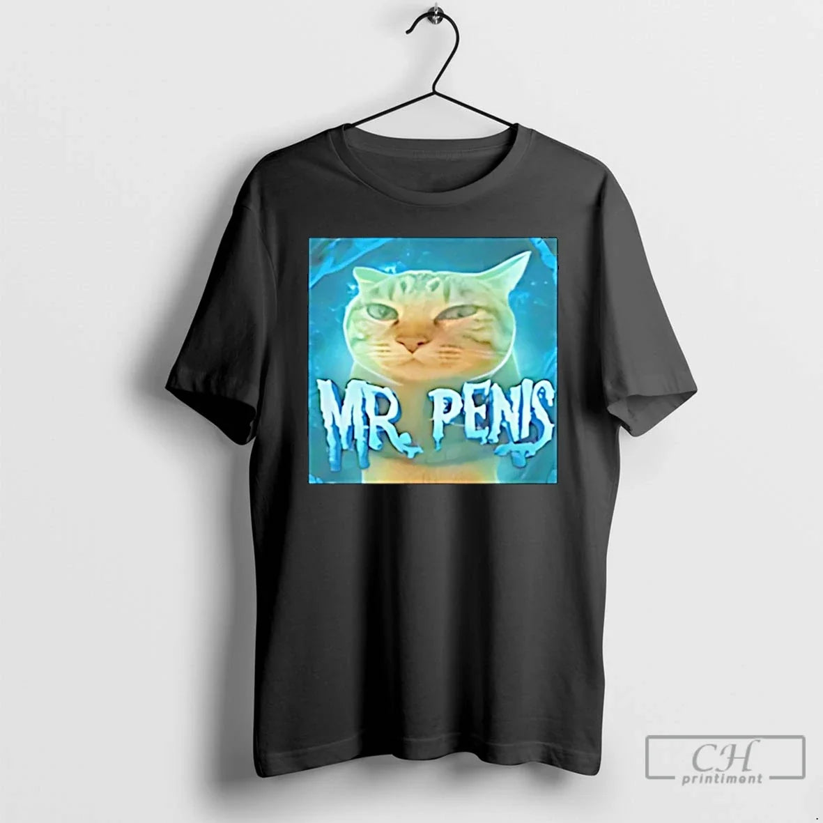 Classic Mr Penis Cat Meme T-Shirts, Hoodie, Sweatshirt - T-Shirt, Sweatshirt, Hoodie