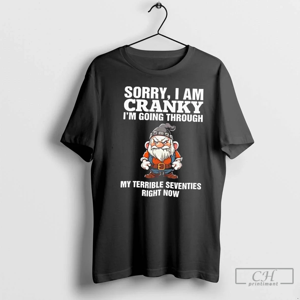 Classic Old Gnome Terrible Seventies Sorry I Am Cranky Im Going Through My Terrible Seventies T-Shirts, Hoodie, Sweatshirt - T-Shirt, Sweatshirt, Hoodie