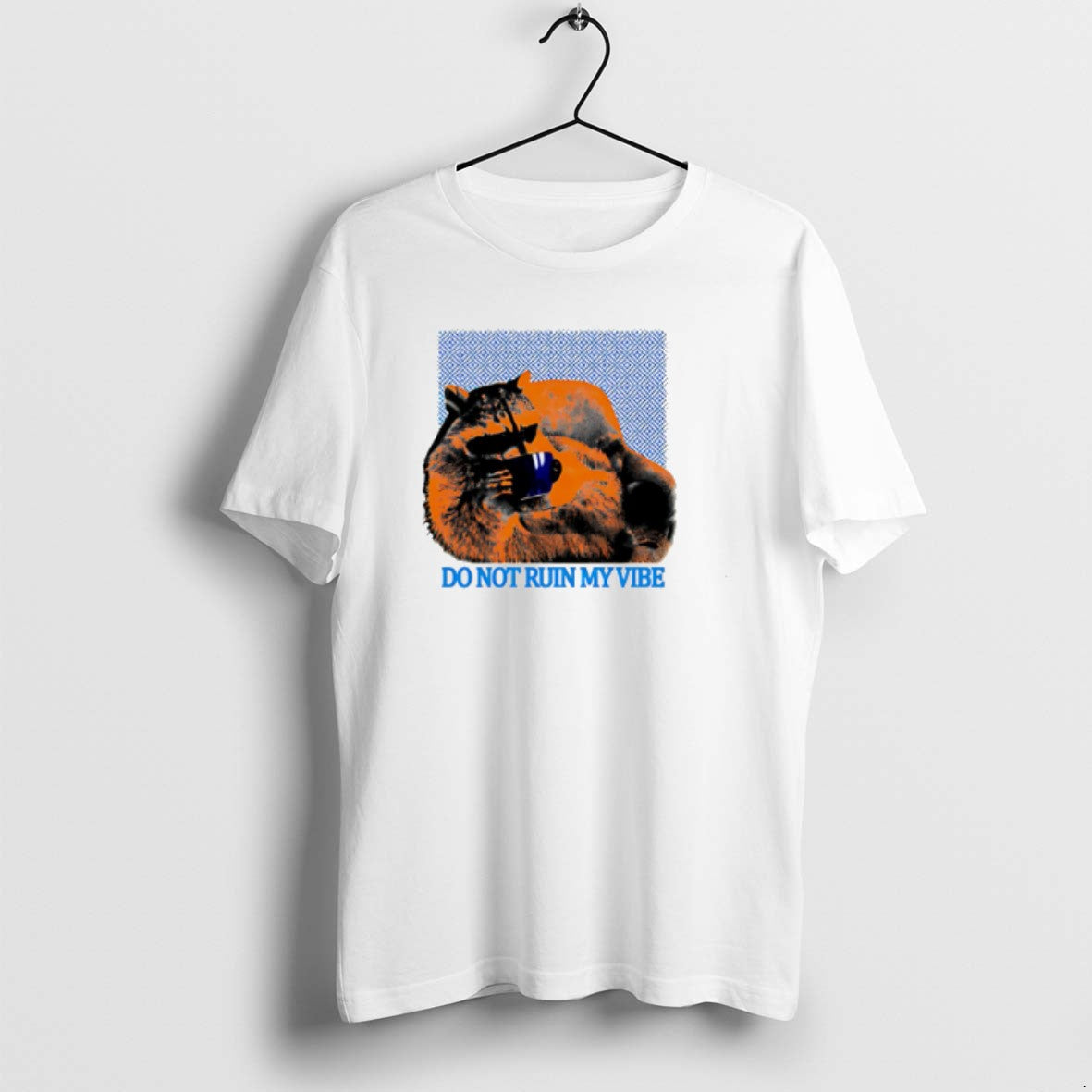 Official Do Not Ruin My Raccoon Trash Panda T-Shirts, Hoodie, Sweatshirt - T-Shirt, Sweatshirt, Hoodie