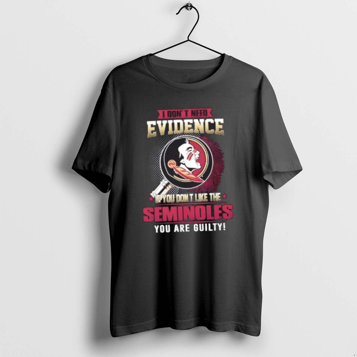 Official I Dont Need Evidence If You Dont Like Florida State Seminoles You Are T-Shirts, Hoodie, Sweatshirt - T-Shirt, Sweatshirt, Hoodie