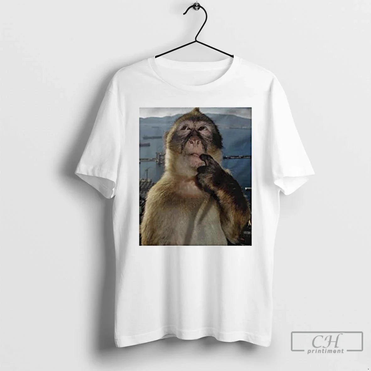 Monkey Thinking Meme Ornaments T-Shirts, Hoodie, Sweatshirt - T-Shirt, Sweatshirt, Hoodie