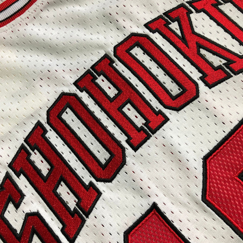 Slam Dunk Sakuragi Hanamichi White 10 MN basketball jersey product view 2