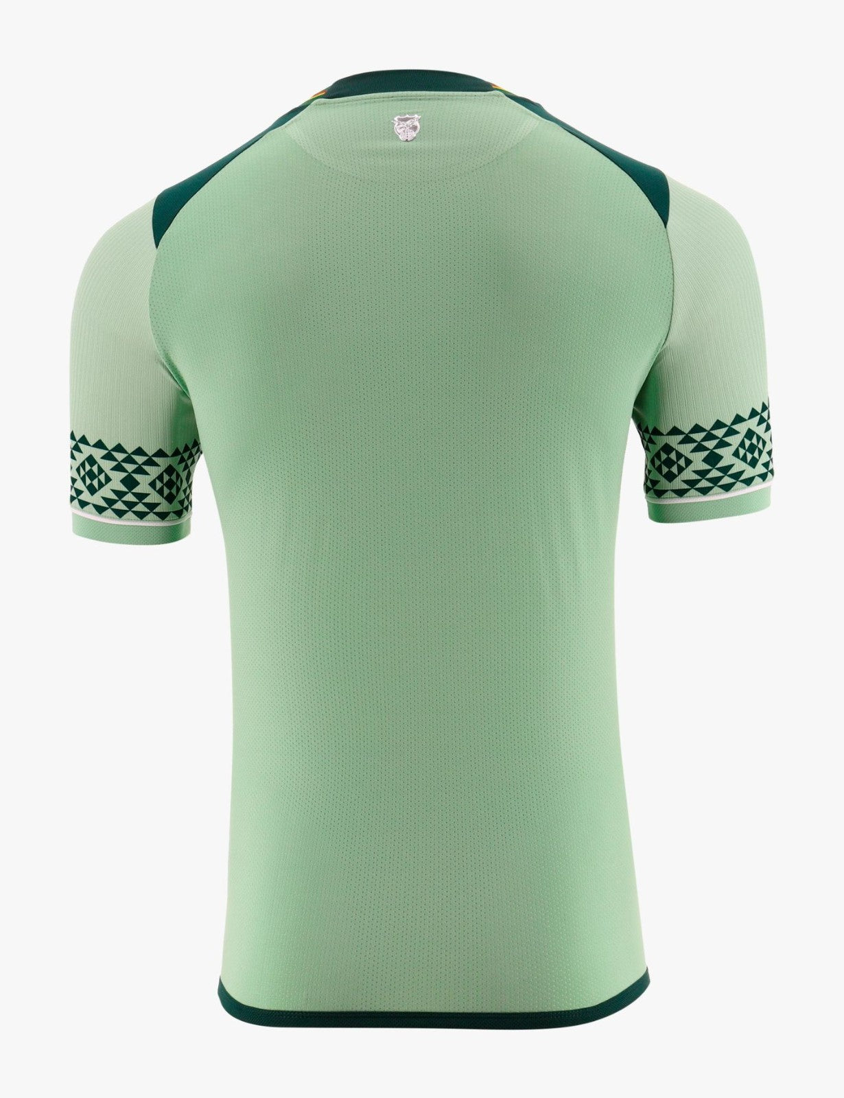 Bolivia's new 2024 Copa America home jersey football jersey product view 2