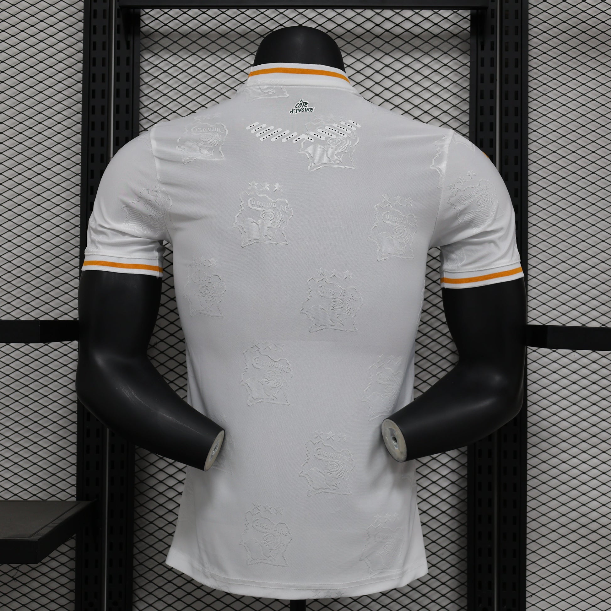 2026 Ivory Coast Special Edition Player Version Jersey sports jersey product view 2
