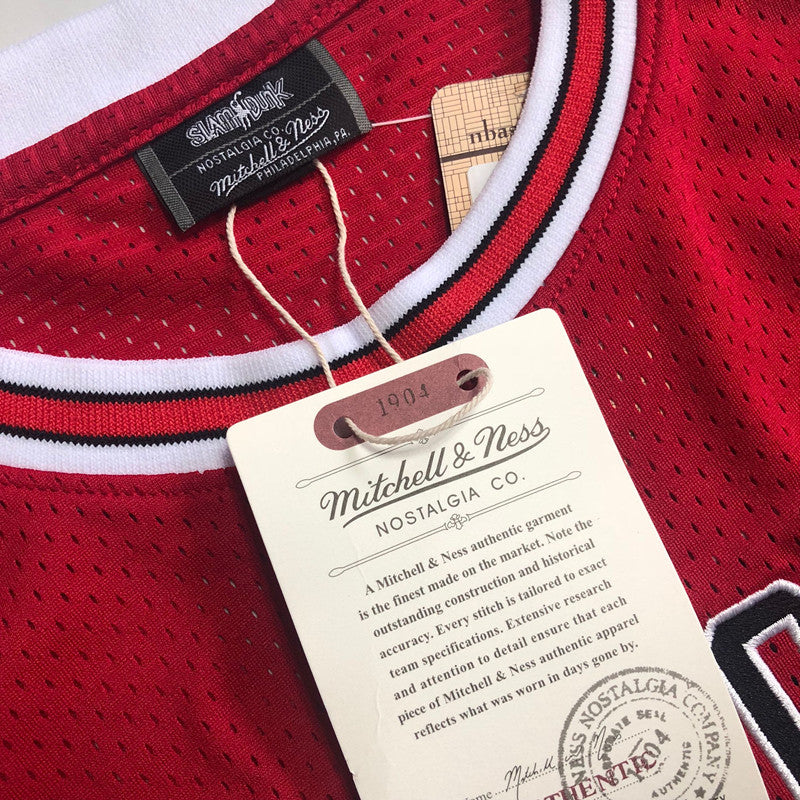 Slam Dunk Sakuragi Hanamichi Red 10 MN basketball jersey product view 3