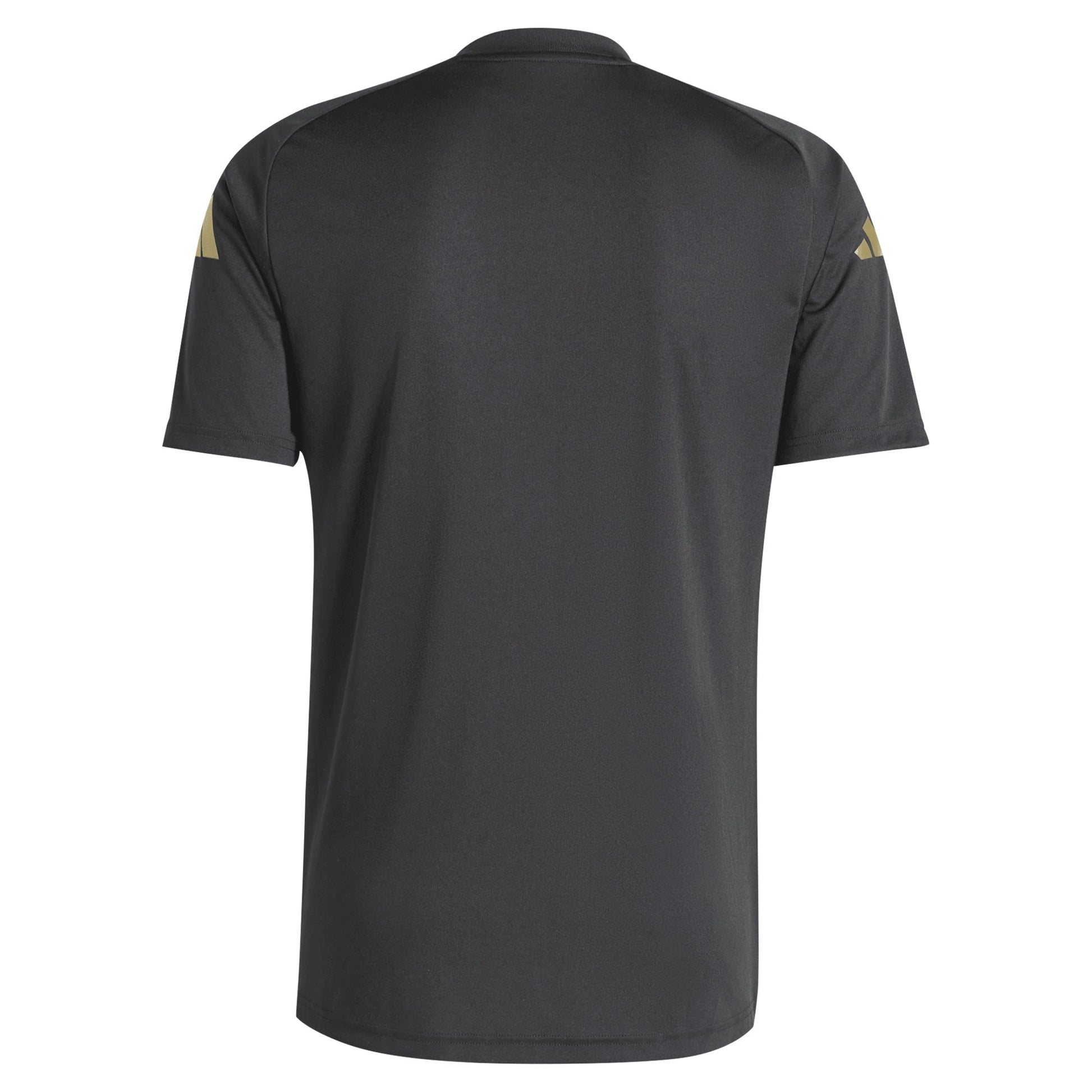 Argentina National Team 2024 Pre-Match Top - Black sports jersey product view 2