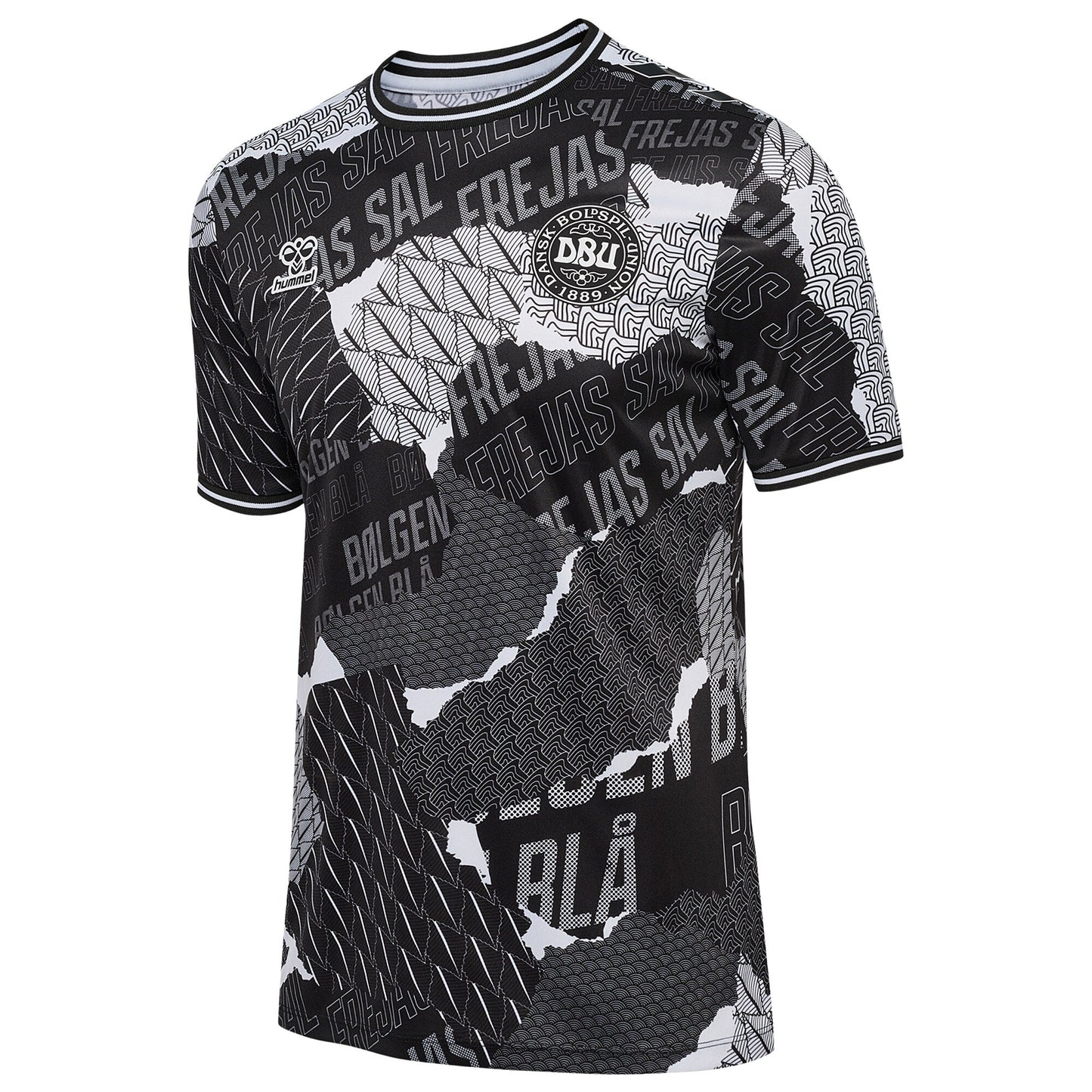 Denmark National Team 2024 Pre-Match Top - Black sports jersey product view 3