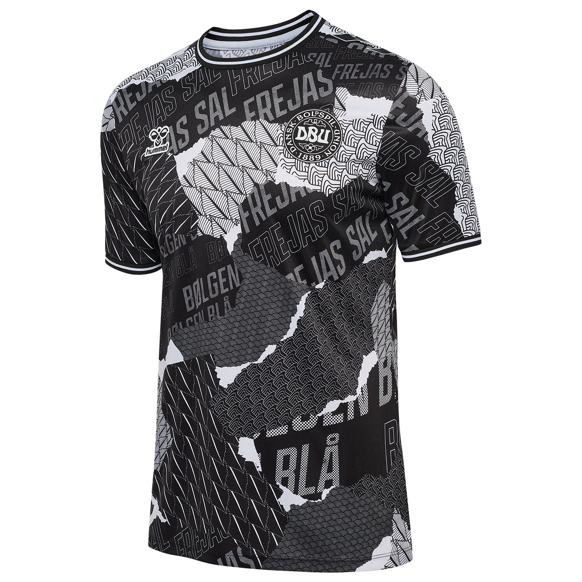 Denmark National Team 2024 Pre-Match Top - Black sports jersey product view 3
