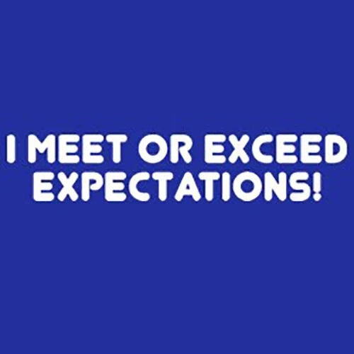 I Meet or Exceed Expectations T-shirt Funny S-3XL Unisex T-shirt, Sweatshirt, Hoodie, Long Sleeve Tee - T-Shirt, Sweatshirt, Hoodie