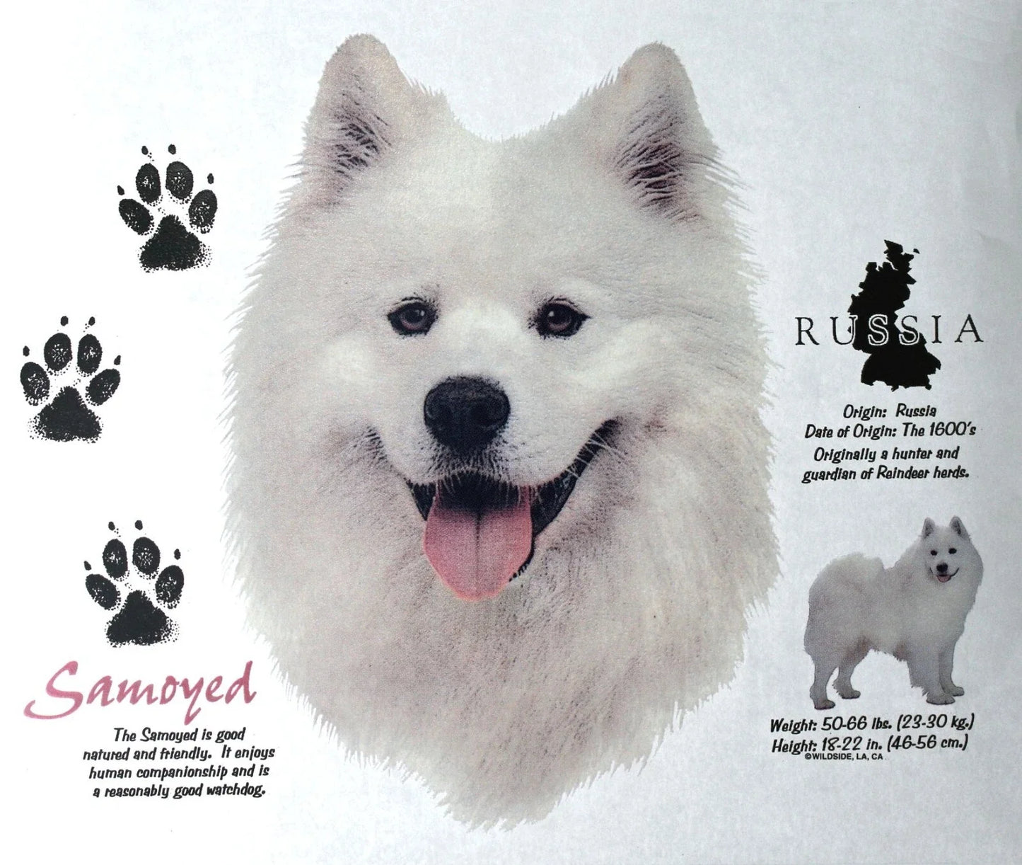 Samoyed Dog Breed Graphic T-Shirts New History of Samoyed Shirts Free Shipping Unisex T-shirt, Sweatshirt, Hoodie, Long Sleeve Tee - T-Shirt, Sweatshirt, Hoodie