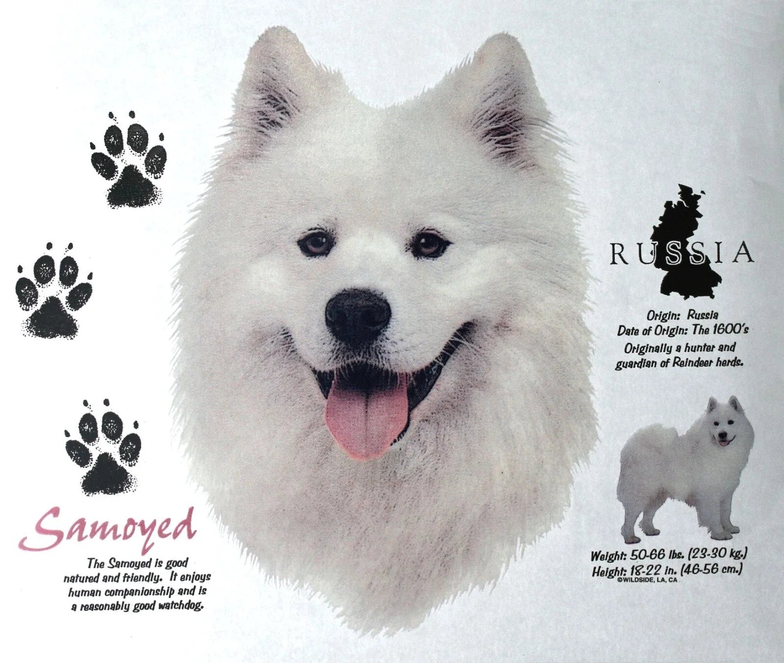 Samoyed Dog Breed Graphic T-Shirts New History of Samoyed Shirts Free Shipping Unisex T-shirt, Sweatshirt, Hoodie, Long Sleeve Tee - T-Shirt, Sweatshirt, Hoodie