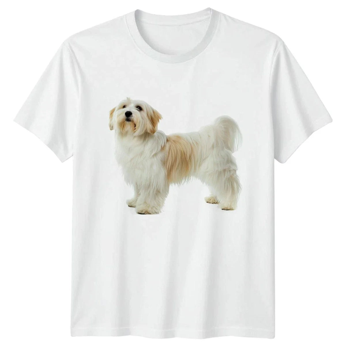 Cute Havanese Dog T-Shirt Havanese Dog Birthday Gift For Him And Her Unisex T-shirt, Sweatshirt, Hoodie, Long Sleeve Tee - T-Shirt, Sweatshirt, Hoodie
