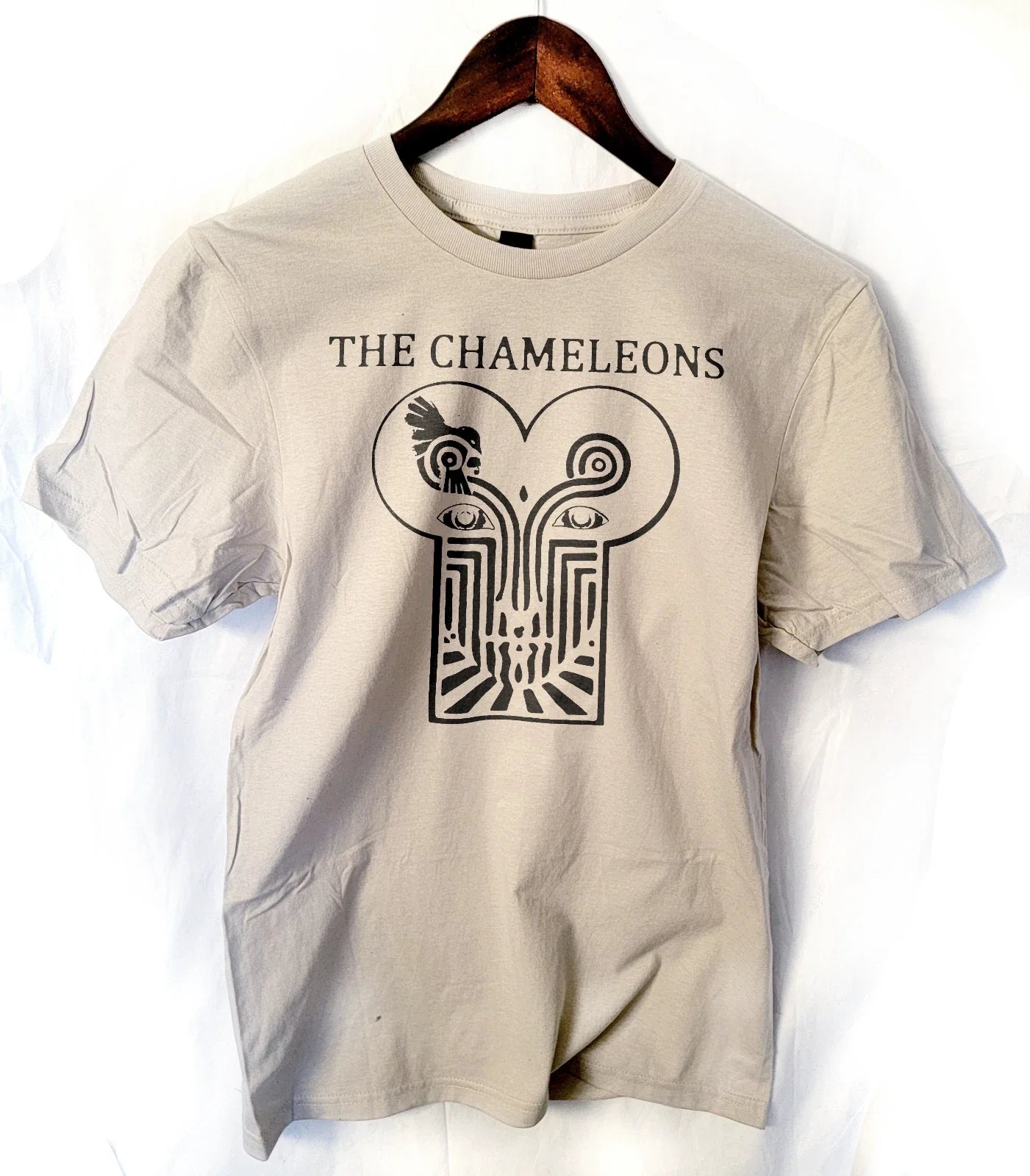 the Chameleons  band t shirt Unisex T-shirt, Sweatshirt, Hoodie, Long Sleeve Tee - T-Shirt, Sweatshirt, Hoodie