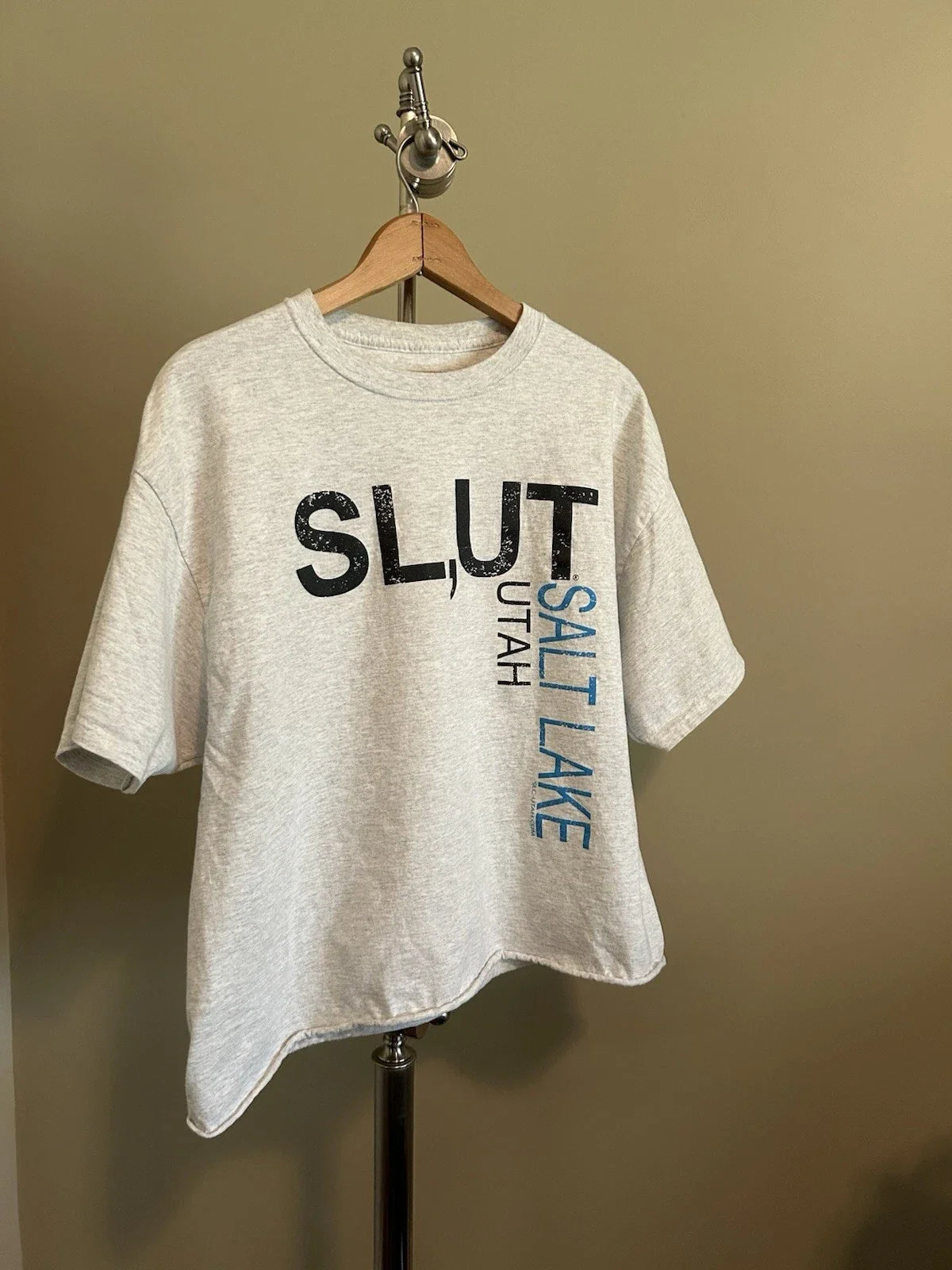 Salt Lake City Utah Unisex Cropped Shirt Unisex T-shirt, Sweatshirt, Hoodie, Long Sleeve Tee - T-Shirt, Sweatshirt, Hoodie