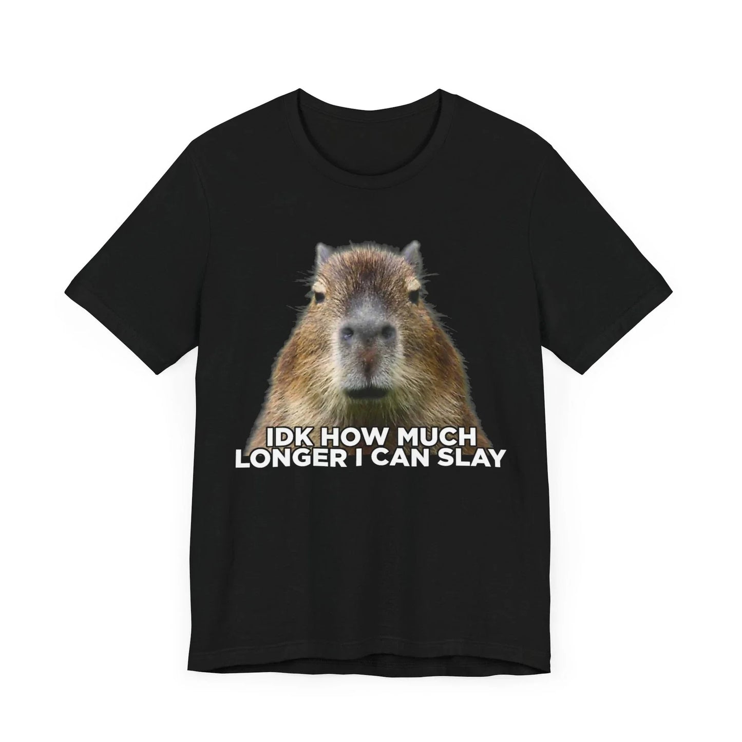Idk How Much Longer I Can Slay Capybara Sarcastic Dank Meme T-shirt , Capybara Unisex T-shirt, Sweatshirt, Hoodie, Long Sleeve Tee - T-Shirt, Sweatshirt, Hoodie