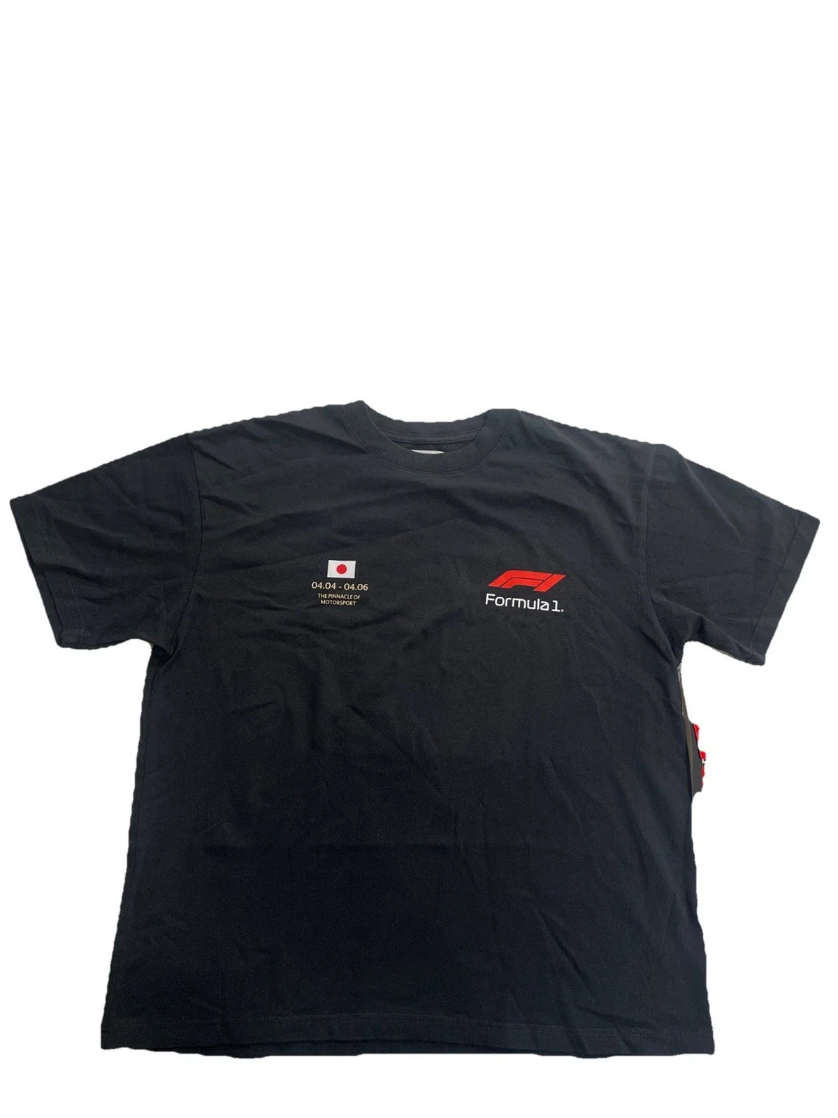 Pacsun Formula 1 Speed Oversized SS T-shirt Black Size L Unisex T-shirt, Sweatshirt, Hoodie, Long Sleeve Tee - T-Shirt, Sweatshirt, Hoodie