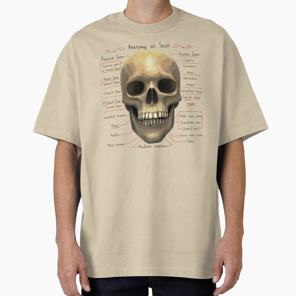 anatomy lesson (skull) by hayrpictures Unisex T-shirt, Sweatshirt, Hoodie, Long Sleeve Tee - T-Shirt, Sweatshirt, Hoodie