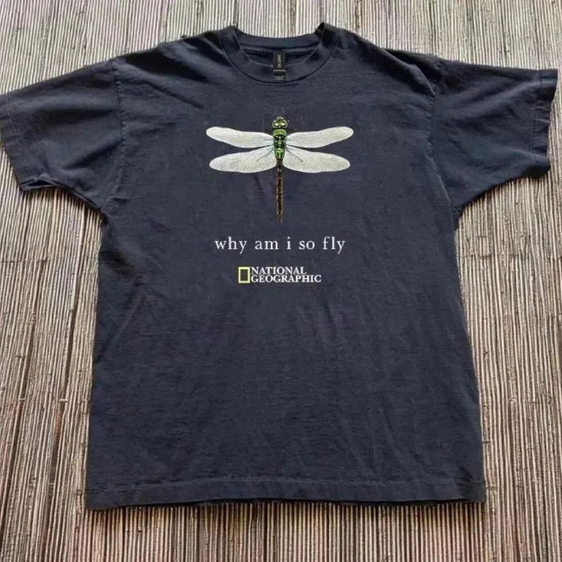 Why Am So Fly Comfort Tee Funny Quote Saying Soft Shirt Unisex T-shirt, Sweatshirt, Hoodie, Long Sleeve Tee - T-Shirt, Sweatshirt, Hoodie