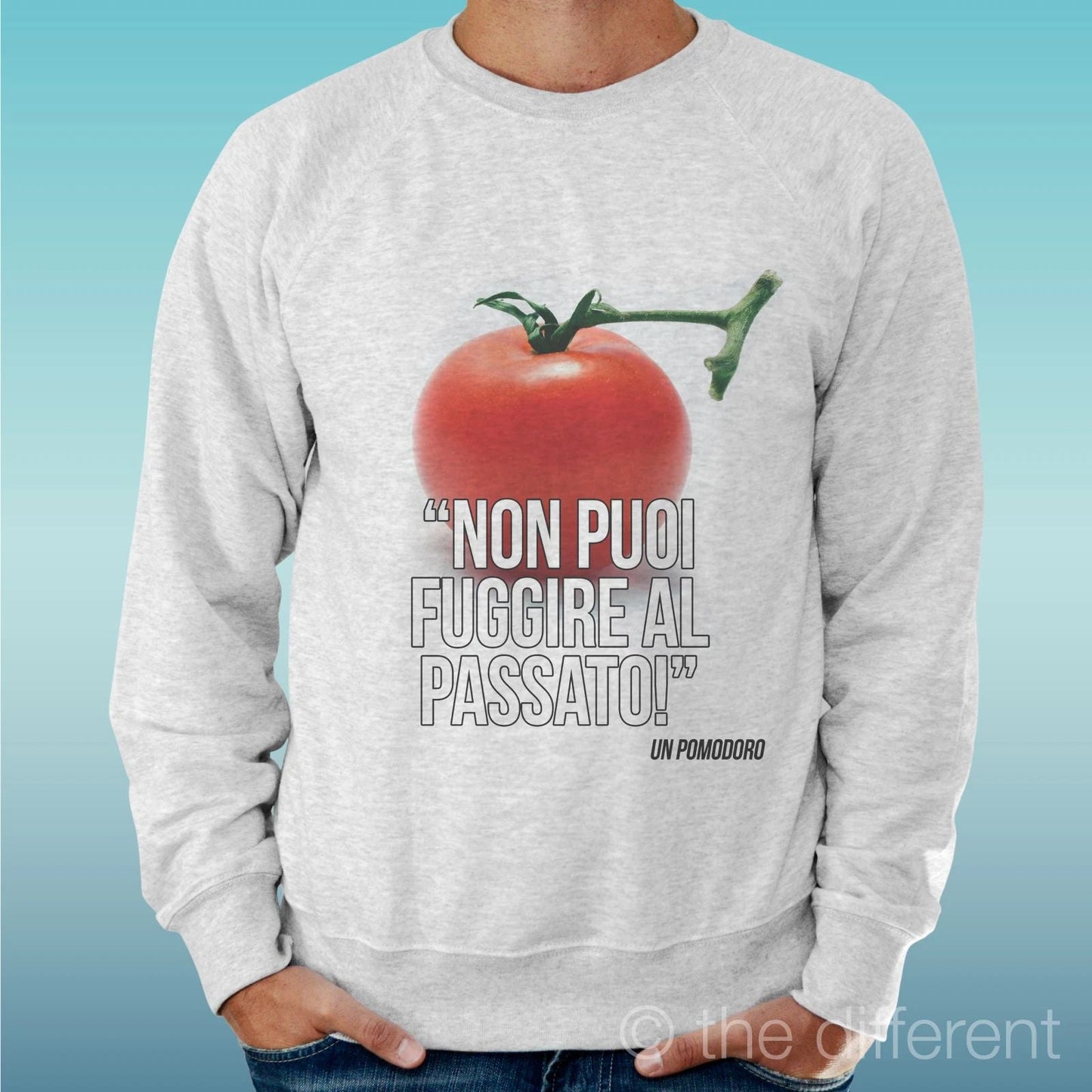 Felpa Man Light Sweater Light Grey " Tomato Past Sentence " Unisex T-shirt, Sweatshirt, Hoodie, Long Sleeve Tee - T-Shirt, Sweatshirt, Hoodie