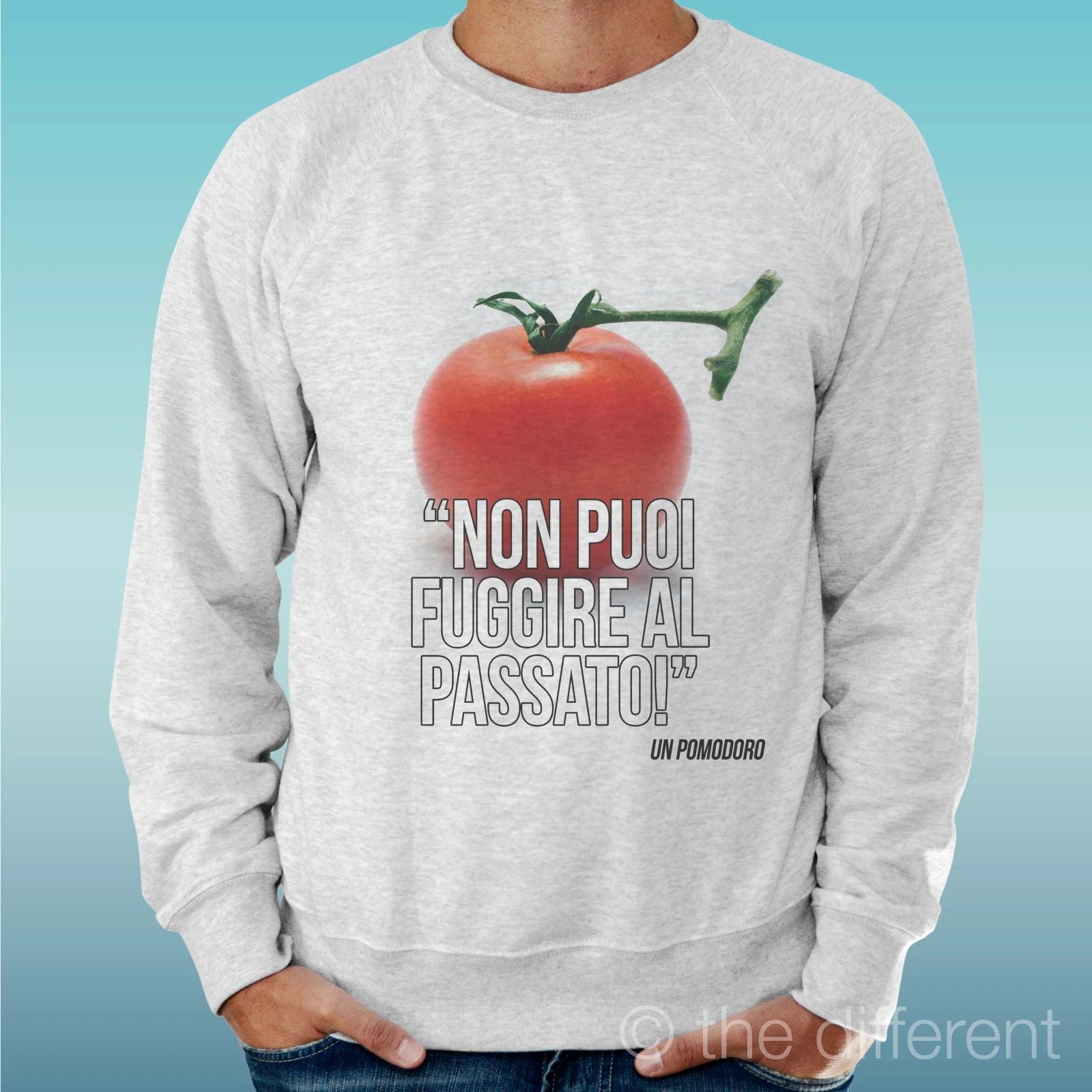 Felpa Man Light Sweater Light Grey " Tomato Past Sentence " Unisex T-shirt, Sweatshirt, Hoodie, Long Sleeve Tee - T-Shirt, Sweatshirt, Hoodie