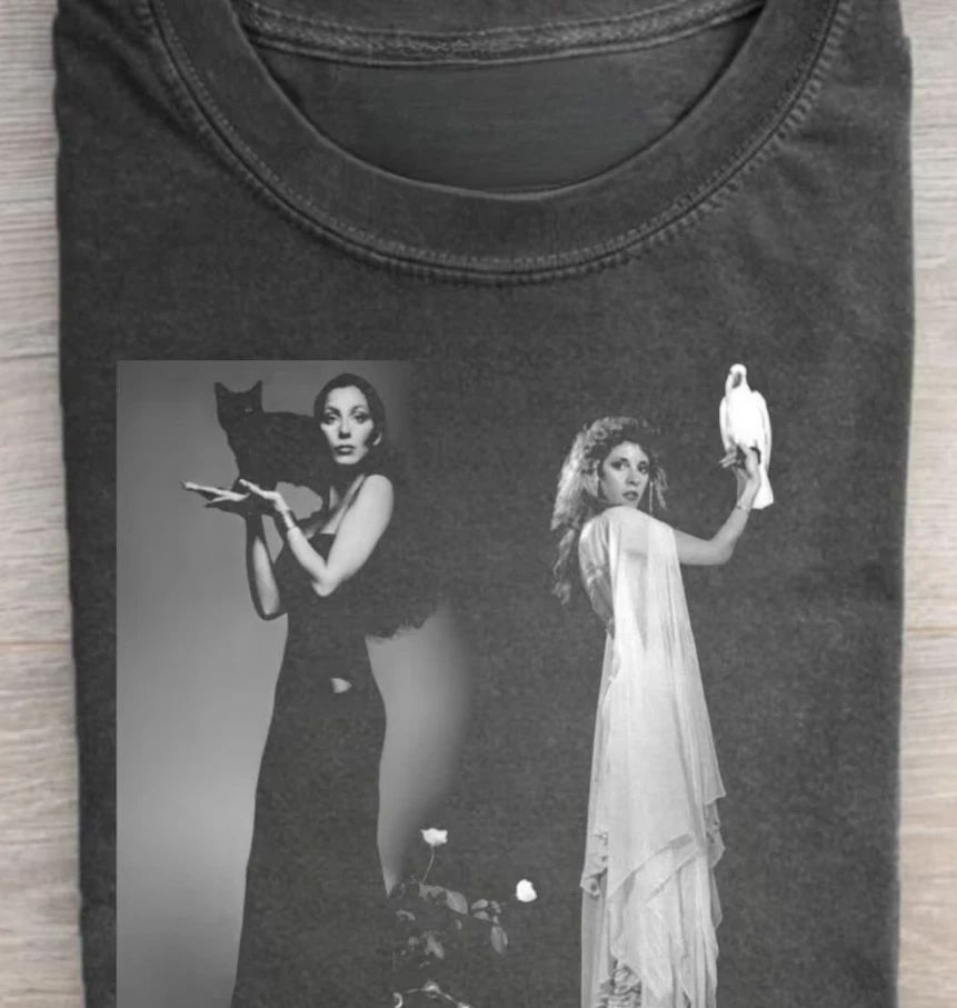 Vintage Cher & Stevie Nicks Graphic Tee Unisex T-shirt, Sweatshirt, Hoodie, Long Sleeve Tee - T-Shirt, Sweatshirt, Hoodie