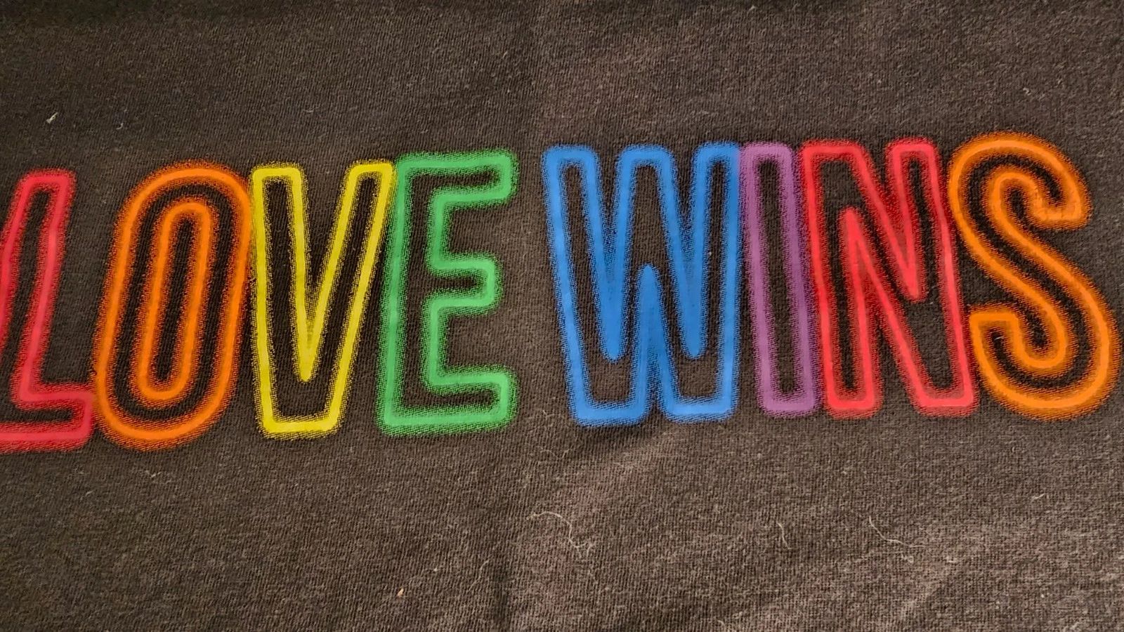 Modern Lux Black T-Shirt wit "LOVE WINS" Printed On Front, 100% Cotton size L Unisex T-shirt, Sweatshirt, Hoodie, Long Sleeve Tee - T-Shirt, Sweatshirt, Hoodie